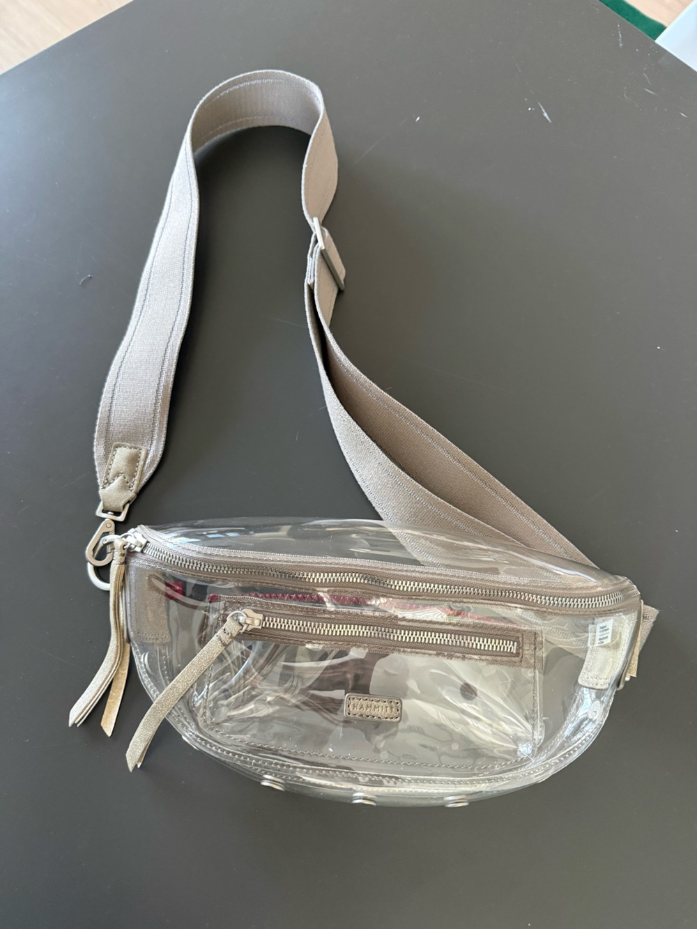 Hammitt Charles Clear Crossbody with Taupe /Grey Trim and Adjustable Strap